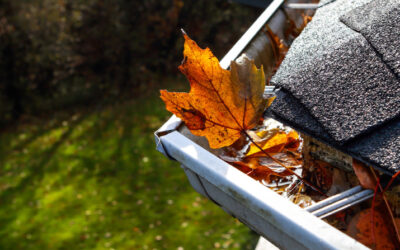 Best Gutters for Leaves in Your Dayton, Ohio Home