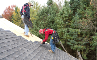How Long Does It Take for Asphalt Shingles to Dry?