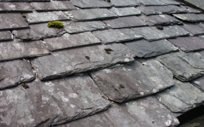 Are Slate Roofs High Maintenance? A Comprehensive Guide